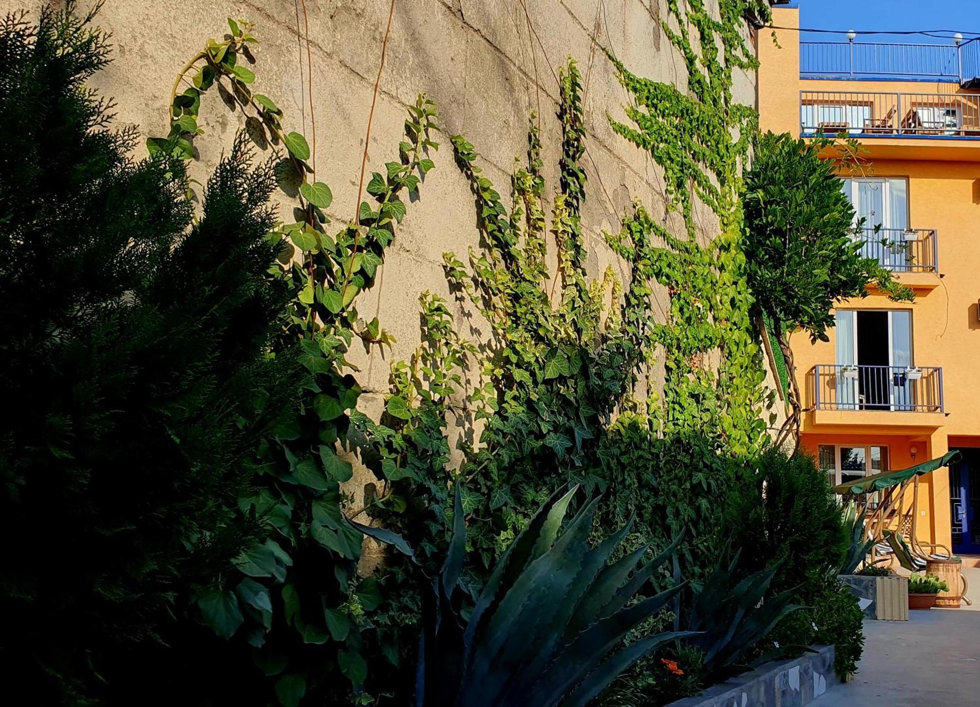 Hotel Hills In Old Tbiliszi Kültér fotó